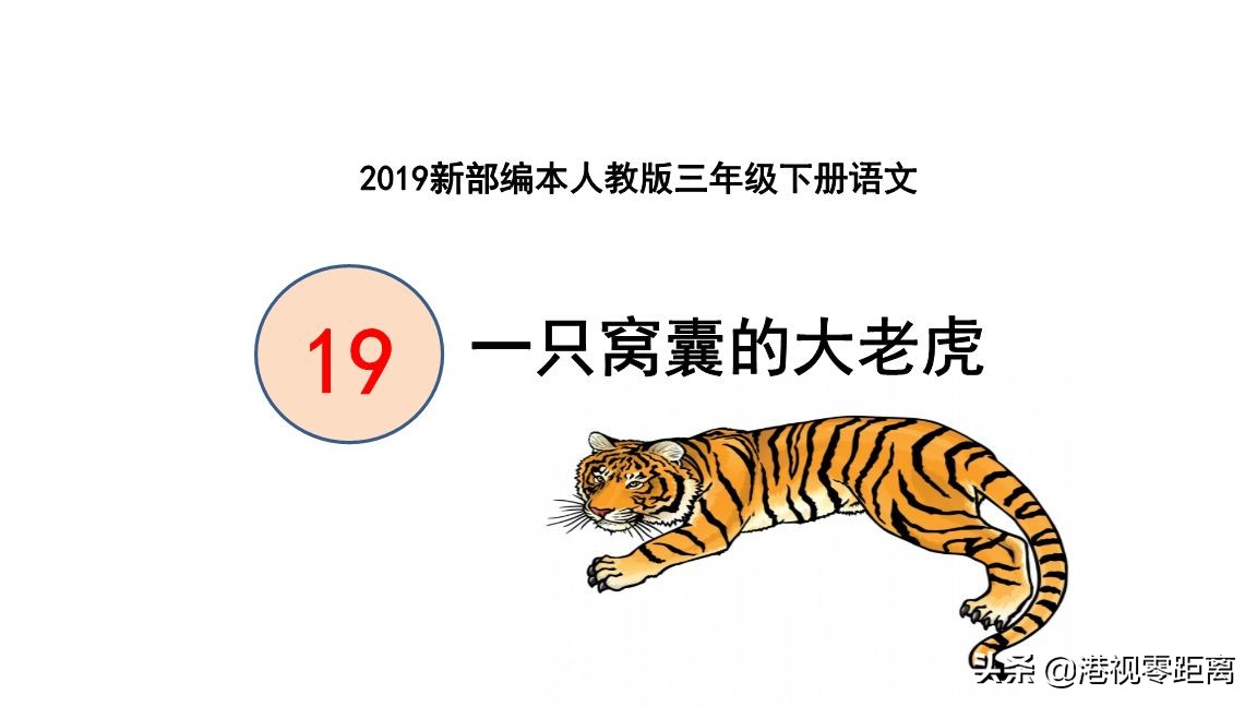 老虎的作文(老虎的作文200字)-第1张图片-微作文 老虎的作文(老虎的作文200字)-第1张图片-微作文