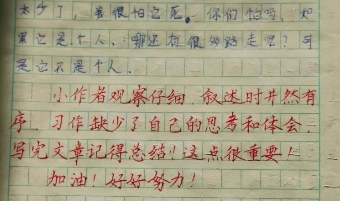 作文的评语(游戏作文的评语)-第3张图片-微作文 作文的评语(游戏作文的评语)-第3张图片-微作文
