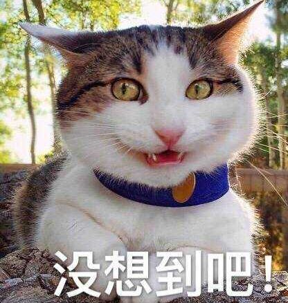 2021专四作文(2021专四作文题目)-第21张图片-微作文 2021专四作文(2021专四作文题目)-第21张图片-微作文