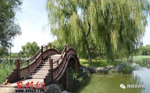 建设家乡的作文(建设家乡的作文议论文)-第1张图片-微作文 建设家乡的作文(建设家乡的作文议论文)-第1张图片-微作文