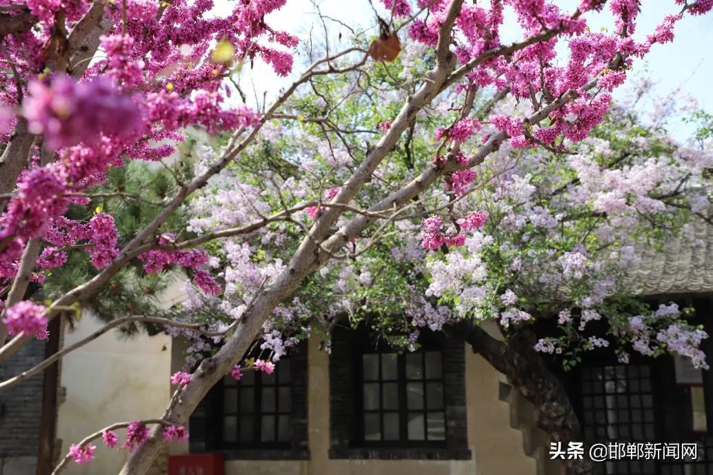 129作文(纪念129作文)-第5张图片-微作文 129作文(纪念129作文)-第5张图片-微作文