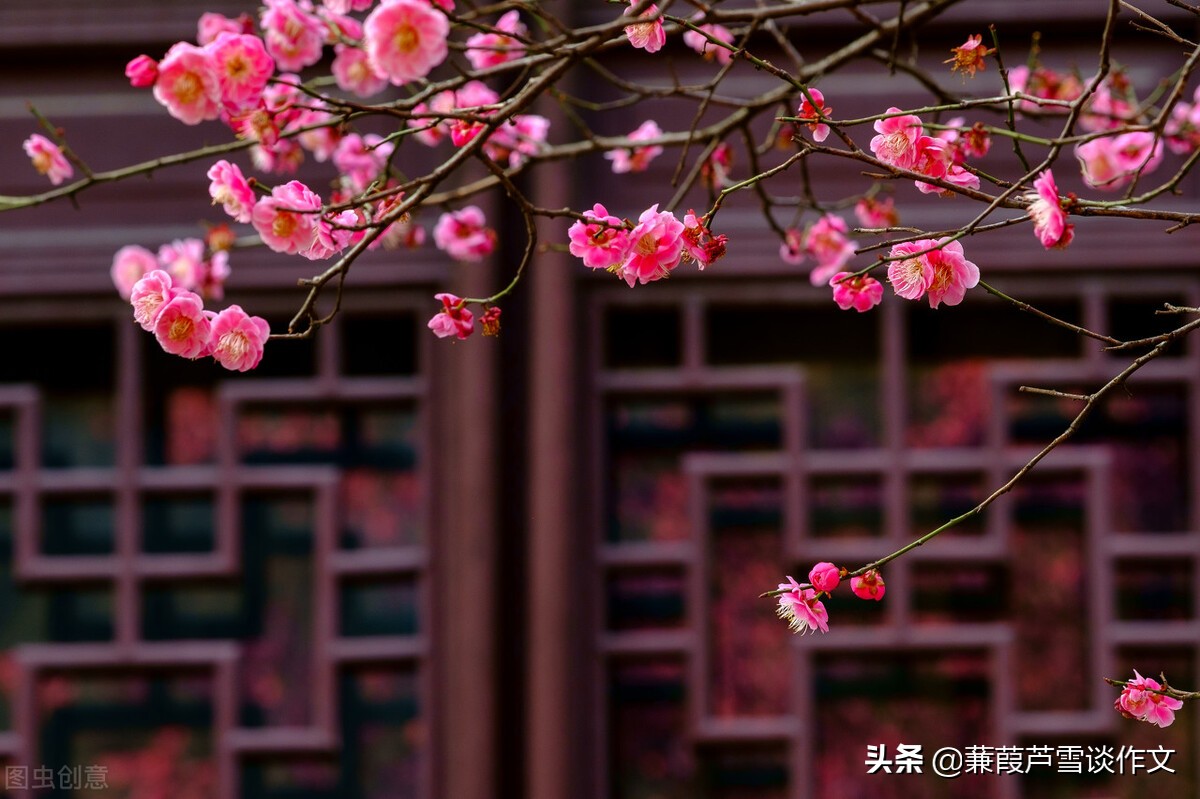 雨中即景作文五年级(雨中即景作文五年级优秀作文)-第5张图片-微作文 雨中即景作文五年级(雨中即景作文五年级优秀作文)-第5张图片-微作文