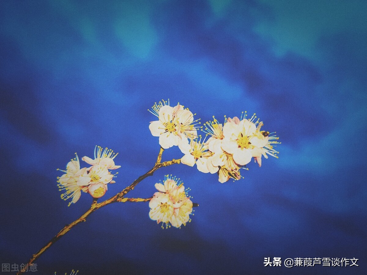 雨中即景作文五年级(雨中即景作文五年级优秀作文)-第8张图片-微作文 雨中即景作文五年级(雨中即景作文五年级优秀作文)-第8张图片-微作文