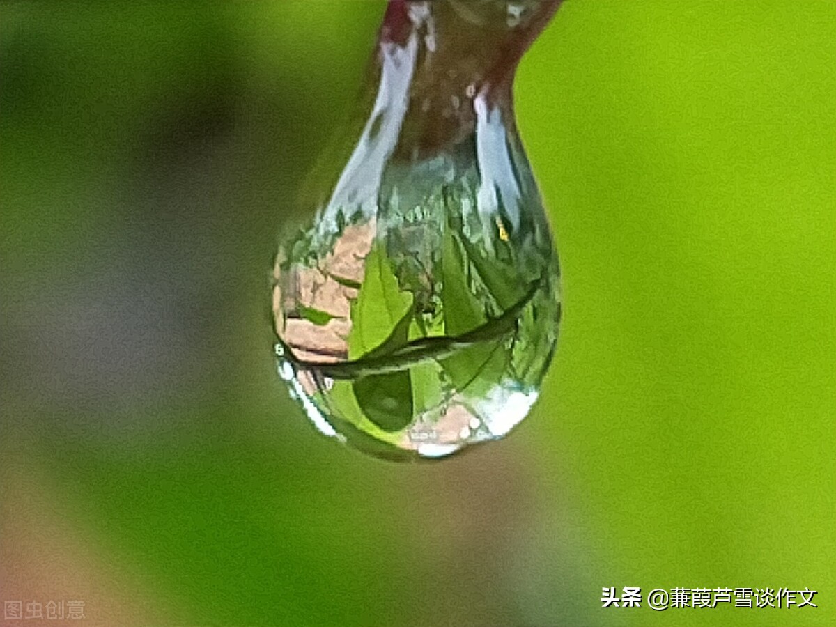 雨中即景作文五年级(雨中即景作文五年级优秀作文)-第19张图片-微作文 雨中即景作文五年级(雨中即景作文五年级优秀作文)-第19张图片-微作文