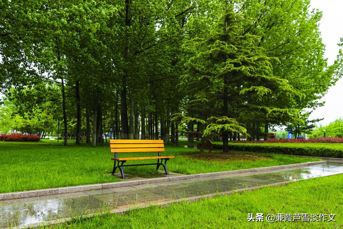 雨中即景作文五年级(雨中即景作文五年级优秀作文)-第18张图片-微作文 雨中即景作文五年级(雨中即景作文五年级优秀作文)-第18张图片-微作文