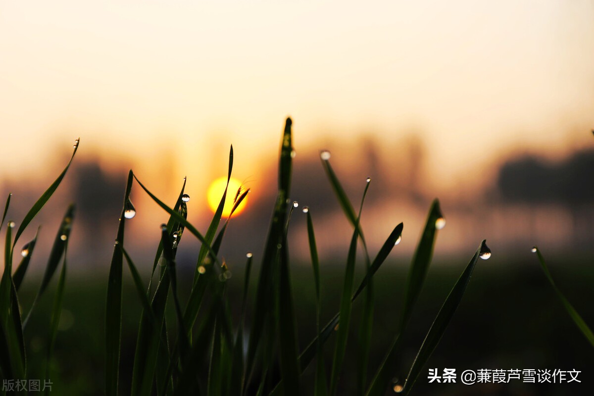 雨中即景作文五年级(雨中即景作文五年级优秀作文)-第22张图片-微作文 雨中即景作文五年级(雨中即景作文五年级优秀作文)-第22张图片-微作文