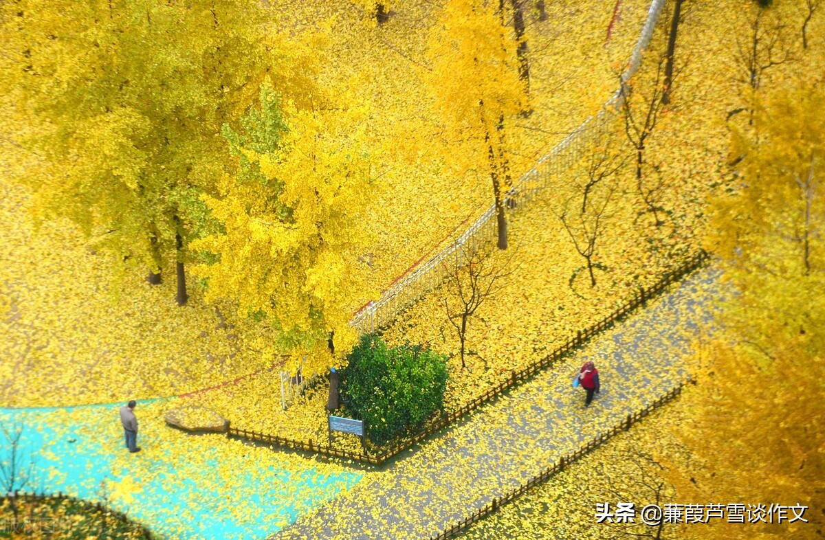 雨中即景作文五年级(雨中即景作文五年级优秀作文)-第24张图片-微作文