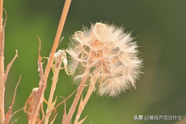 雨中即景作文五年级(雨中即景作文五年级优秀作文)-第25张图片-微作文 雨中即景作文五年级(雨中即景作文五年级优秀作文)-第25张图片-微作文