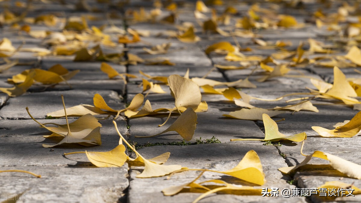 雨中即景作文五年级(雨中即景作文五年级优秀作文)-第33张图片-微作文