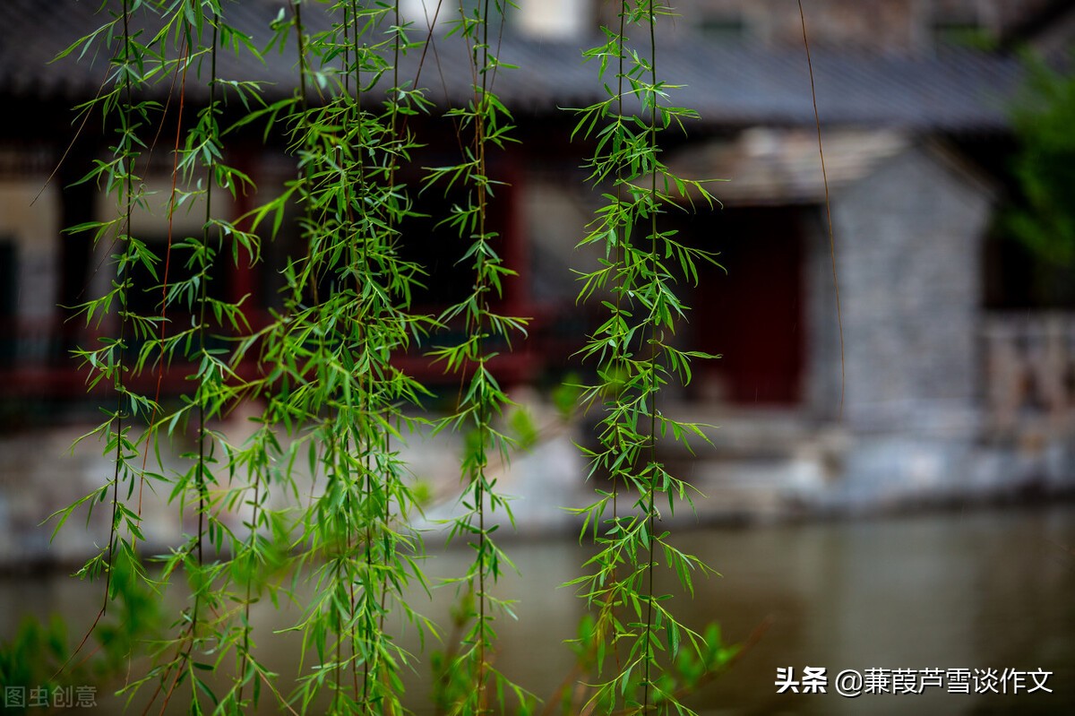 雨中即景作文五年级(雨中即景作文五年级优秀作文)-第34张图片-微作文 雨中即景作文五年级(雨中即景作文五年级优秀作文)-第34张图片-微作文