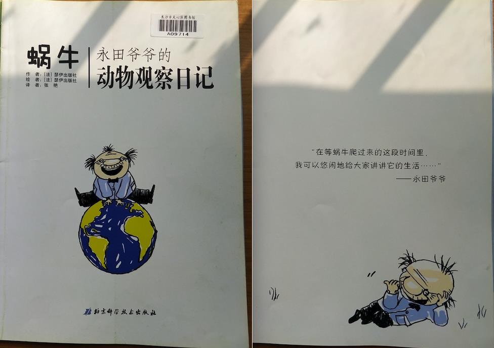 观察动物的作文(观察动物的作文100字左右三年级)-第1张图片-微作文 观察动物的作文(观察动物的作文100字左右三年级)-第1张图片-微作文