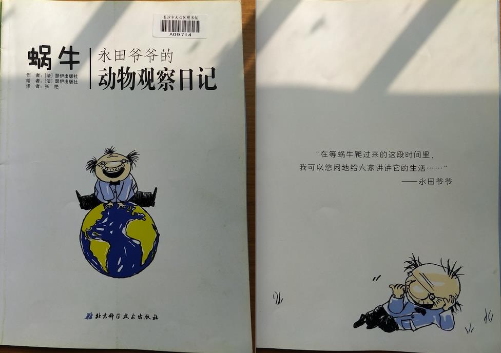 观察动物的作文(观察动物的作文100字左右三年级)-第1张图片-微作文