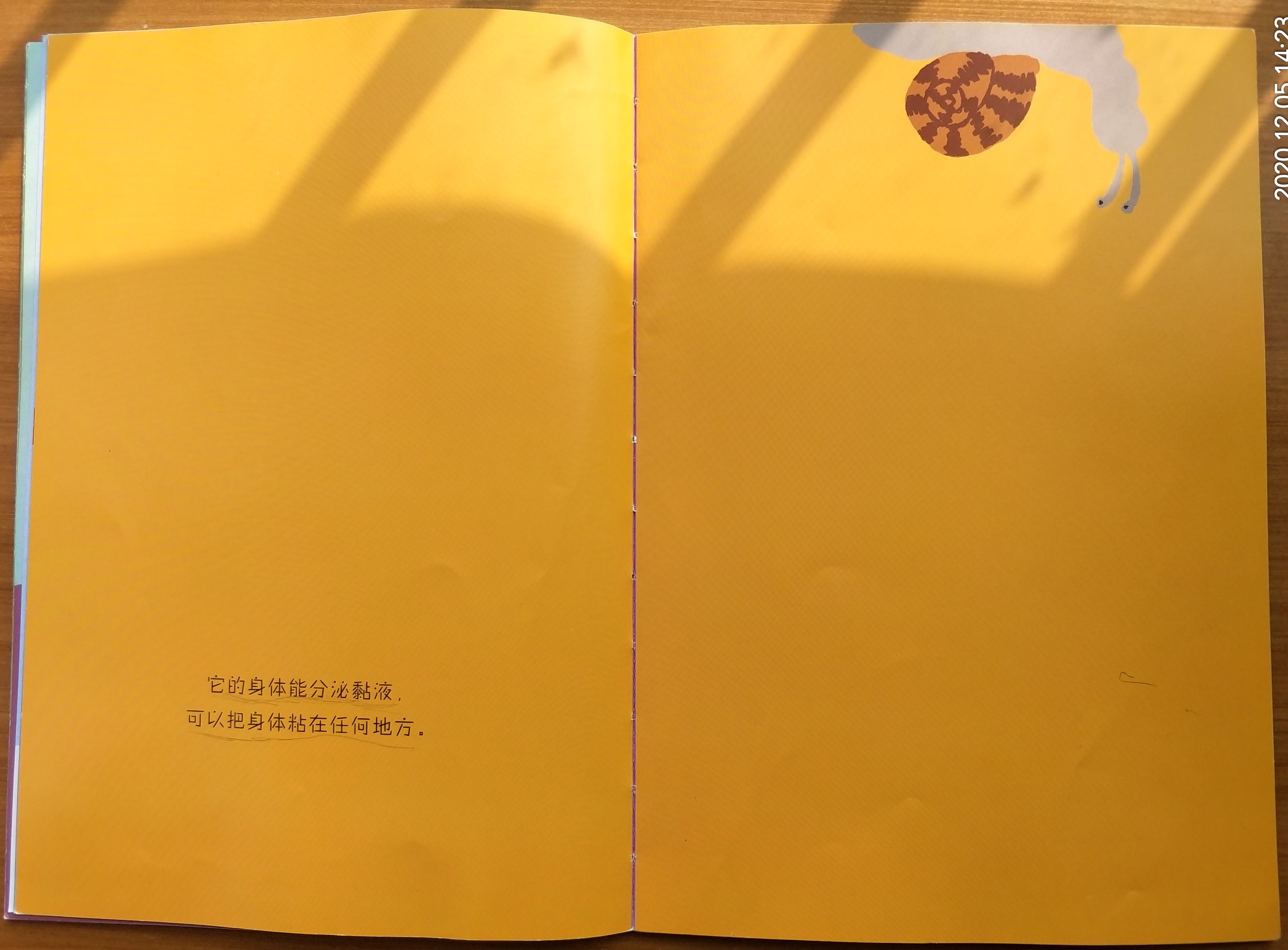 观察动物的作文(观察动物的作文100字左右三年级)-第9张图片-微作文 观察动物的作文(观察动物的作文100字左右三年级)-第9张图片-微作文