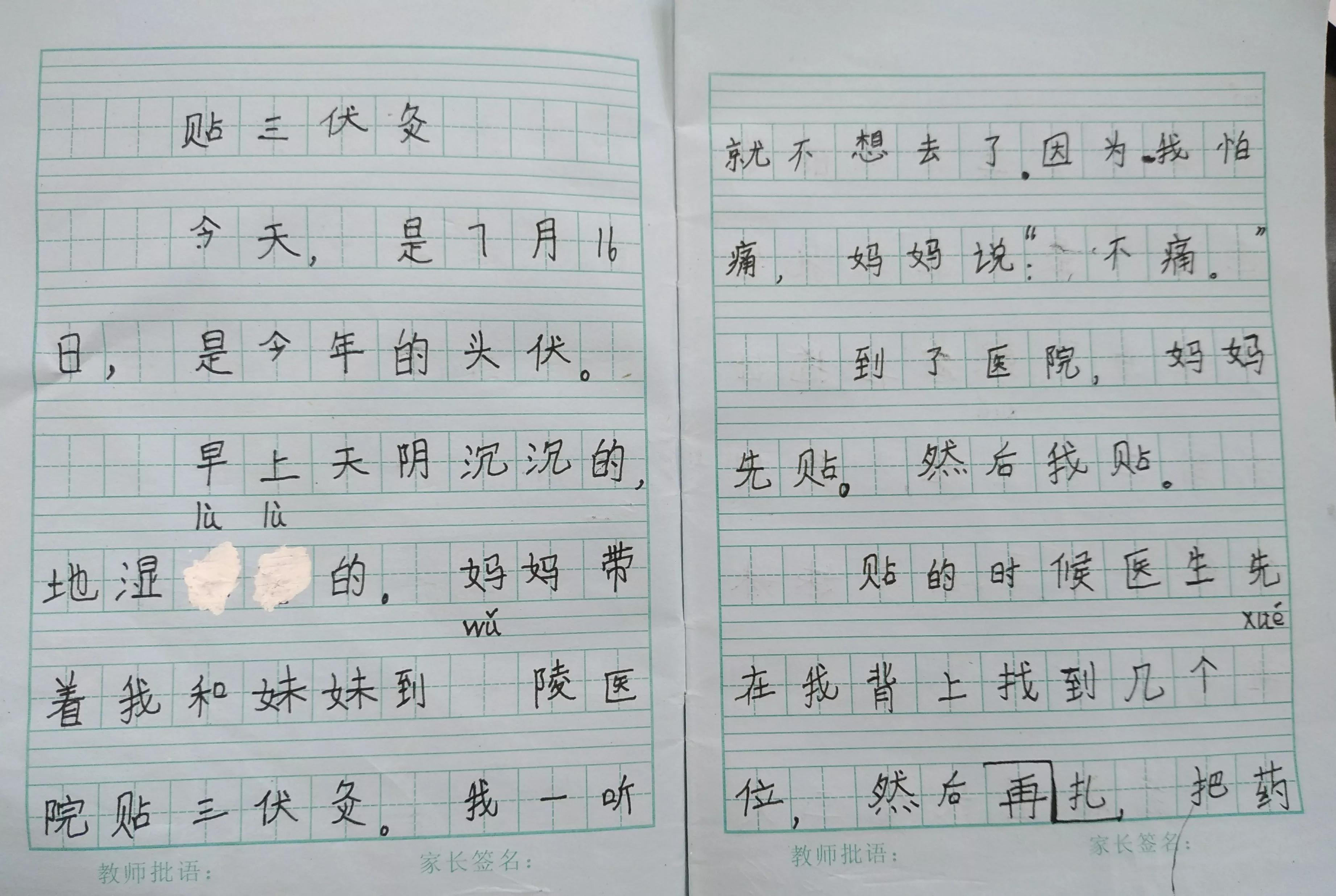 三年级优秀作文精选(三年级优秀作文精选十篇)-第5张图片-微作文 三年级优秀作文精选(三年级优秀作文精选十篇)-第5张图片-微作文
