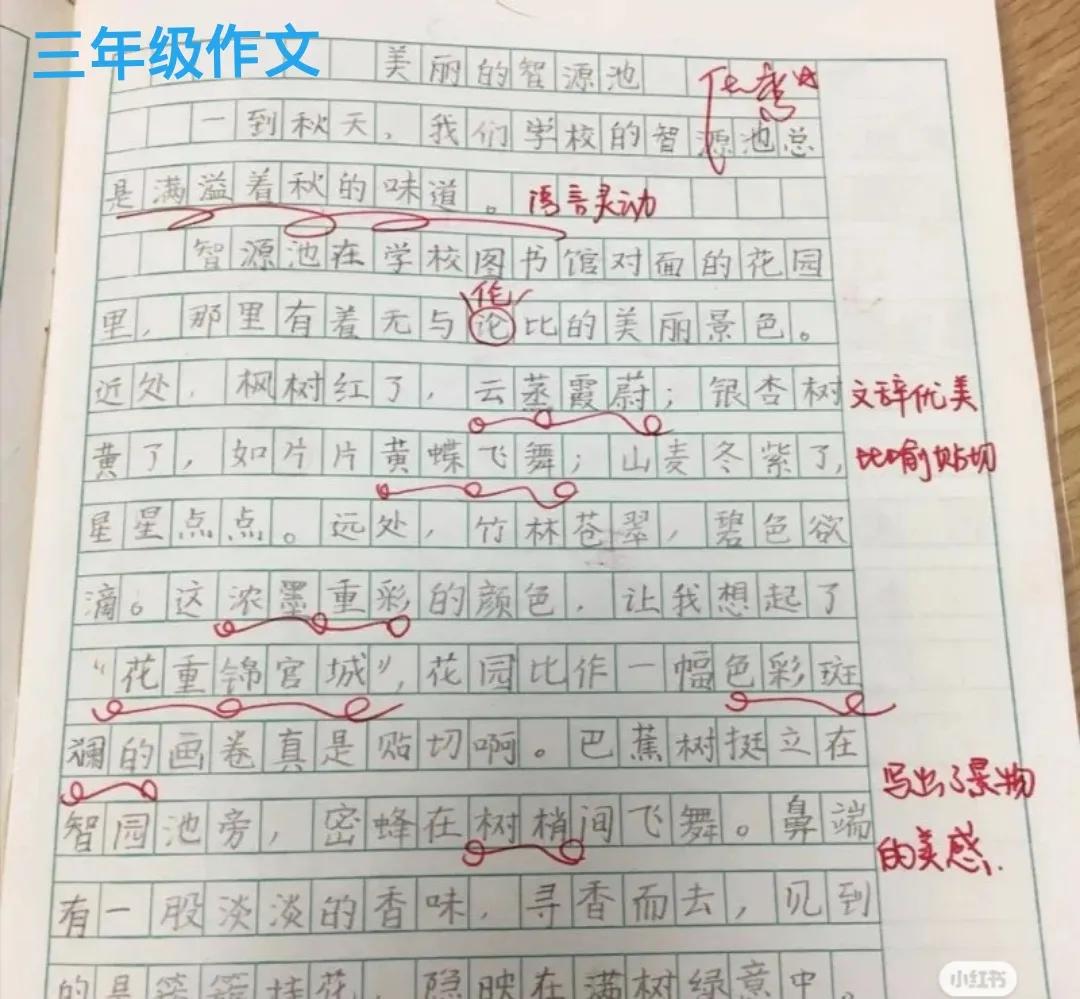 高中优秀作文大全(高中优秀作文大全精选带题目)-第3张图片-微作文 高中优秀作文大全(高中优秀作文大全精选带题目)-第3张图片-微作文