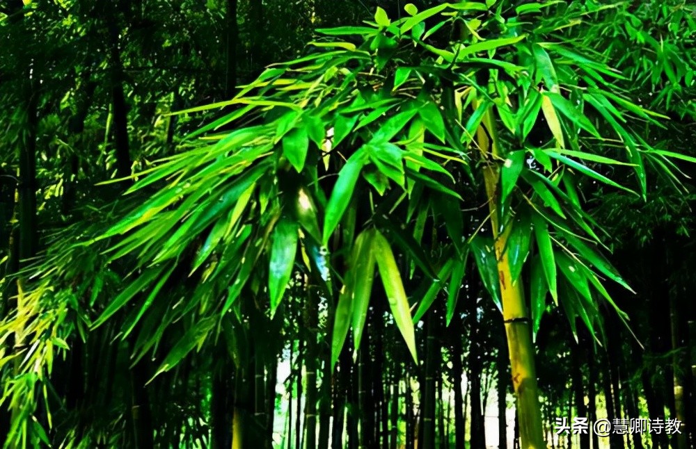 优秀征文范文(优秀征文范文1000字)-第4张图片-微作文 优秀征文范文(优秀征文范文1000字)-第4张图片-微作文