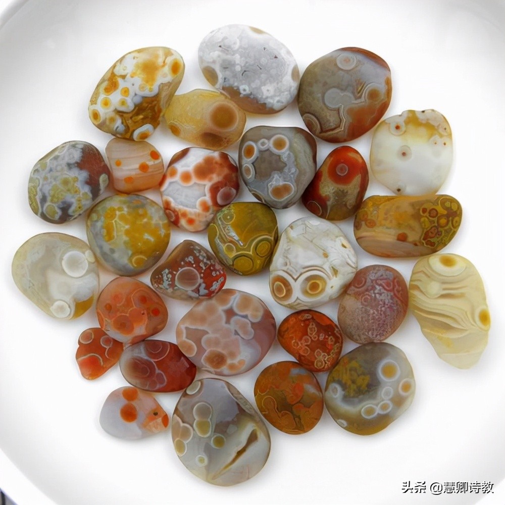 优秀征文范文(优秀征文范文1000字)-第7张图片-微作文 优秀征文范文(优秀征文范文1000字)-第7张图片-微作文
