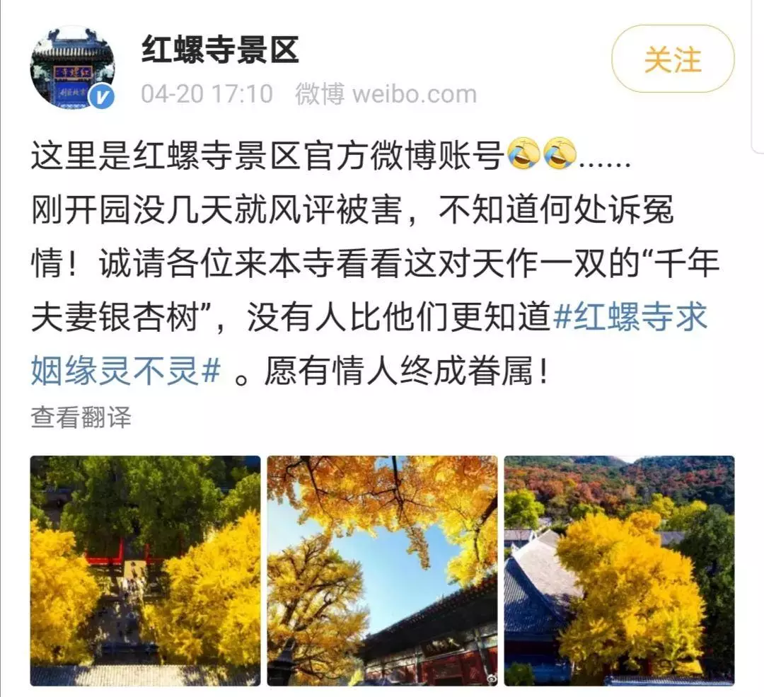 优秀作文大全网(优秀作文大全网我笫一次学游泳)-第7张图片-微作文 优秀作文大全网(优秀作文大全网我笫一次学游泳)-第7张图片-微作文
