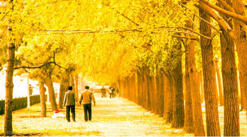 400字优秀作文大全写景(400字优秀作文大全写景冬天)-第3张图片-微作文 400字优秀作文大全写景(400字优秀作文大全写景冬天)-第3张图片-微作文