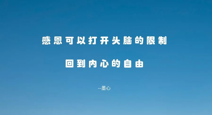 感恩的文章范文大全(感恩,是所有力量中,最积极的力量)-第3张图片-微作文 感恩的文章范文大全(感恩,是所有力量中,最积极的力量)-第3张图片-微作文