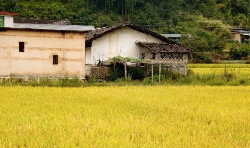 人生在勤,不劳何获(高考优秀作文800字)-第2张图片-微作文 人生在勤,不劳何获(高考优秀作文800字)-第2张图片-微作文