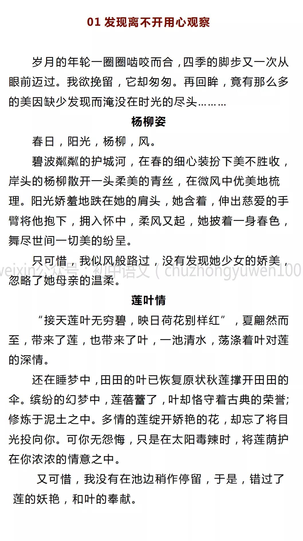 初一800字优秀作文大全(初一800字优秀作文大全叙事)-第1张图片-微作文 初一800字优秀作文大全(初一800字优秀作文大全叙事)-第1张图片-微作文