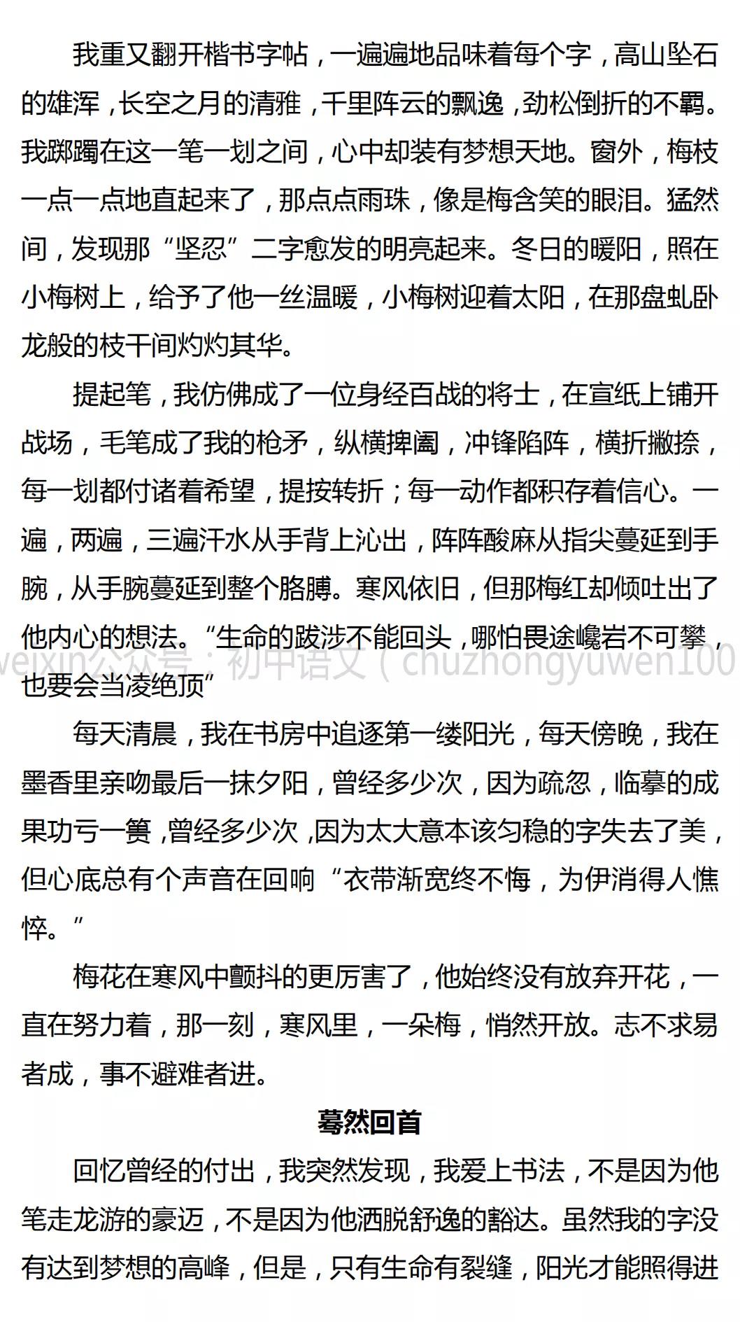 初一800字优秀作文大全(初一800字优秀作文大全叙事)-第5张图片-微作文 初一800字优秀作文大全(初一800字优秀作文大全叙事)-第5张图片-微作文