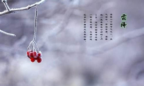 精品作文大全600字(精品作文600字以上)-第3张图片-微作文