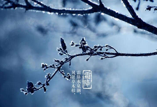 精品作文大全600字(精品作文600字以上)-第1张图片-微作文
