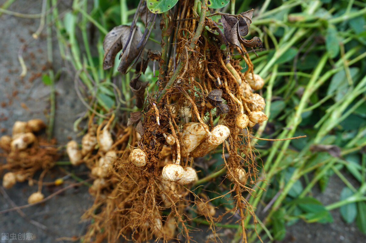五年级优秀读后感范文(五年级优秀读后感范文欣赏)-第5张图片-微作文 五年级优秀读后感范文(五年级优秀读后感范文欣赏)-第5张图片-微作文