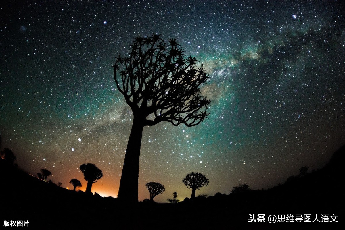 我的爸爸优秀作文大全(我的爸爸优秀作文大全300字)-第1张图片-微作文 我的爸爸优秀作文大全(我的爸爸优秀作文大全300字)-第1张图片-微作文