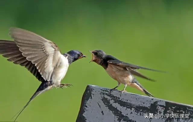 五百字优秀作文大全(五百字优秀作文大全初一)-第1张图片-微作文 五百字优秀作文大全(五百字优秀作文大全初一)-第1张图片-微作文