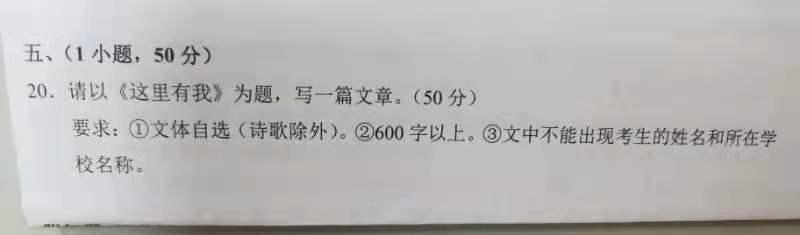 小升初作文题目集锦(我能为你做点什么)-第1张图片-微作文 小升初作文题目集锦(我能为你做点什么)-第1张图片-微作文