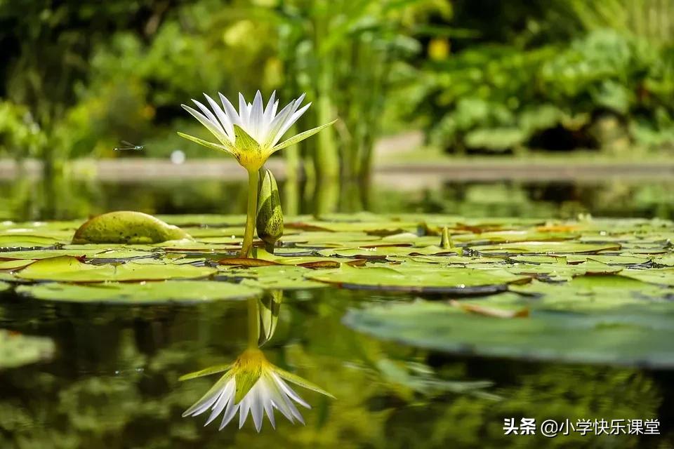 优秀作文大全(优秀作文大全600字左右)-第4张图片-微作文 优秀作文大全(优秀作文大全600字左右)-第4张图片-微作文