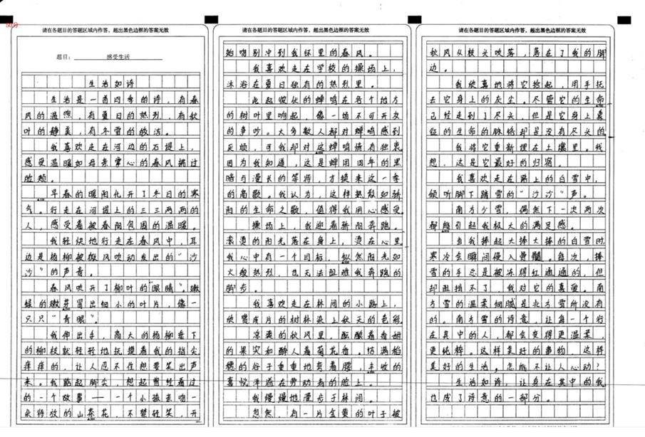 九年级作文大全(九年级作文大全600字励志)-第2张图片-微作文 九年级作文大全(九年级作文大全600字励志)-第2张图片-微作文
