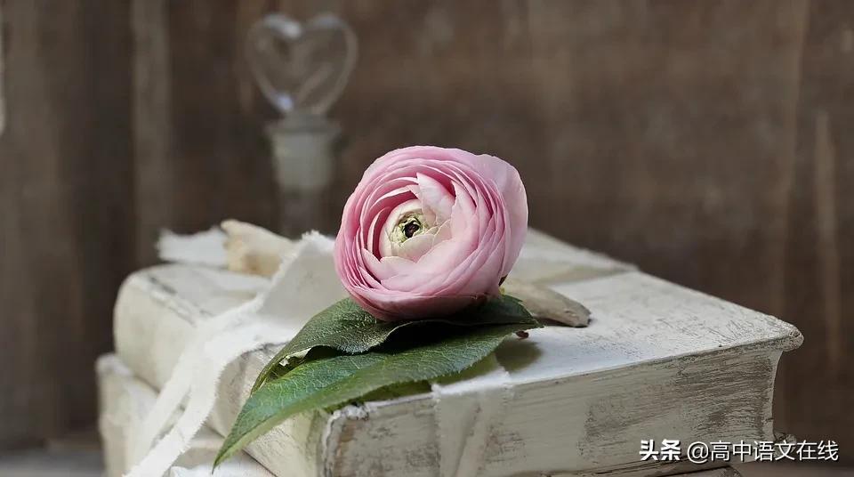 优秀记叙文范文(优秀记叙文范文800字)-第1张图片-微作文 优秀记叙文范文(优秀记叙文范文800字)-第1张图片-微作文
