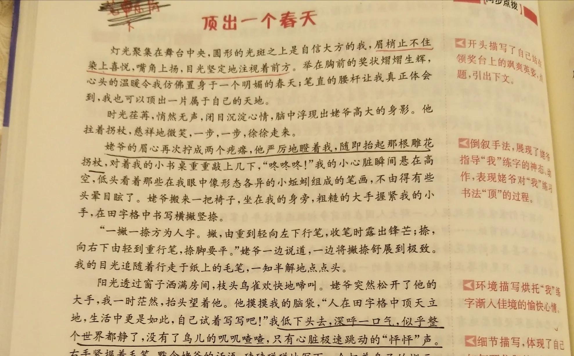 顶出一个春天优秀范文(顶出一个春天作文800字)-第3张图片-微作文 顶出一个春天优秀范文(顶出一个春天作文800字)-第3张图片-微作文
