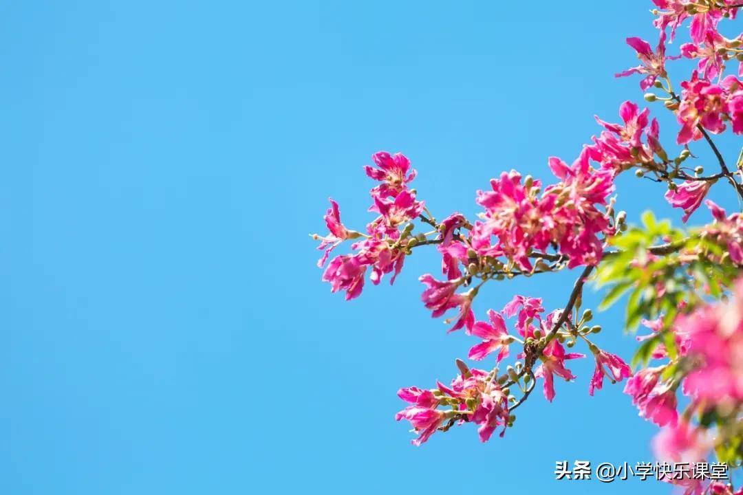 作文500字优秀大全(作文500字优秀初中)-第1张图片-微作文 作文500字优秀大全(作文500字优秀初中)-第1张图片-微作文