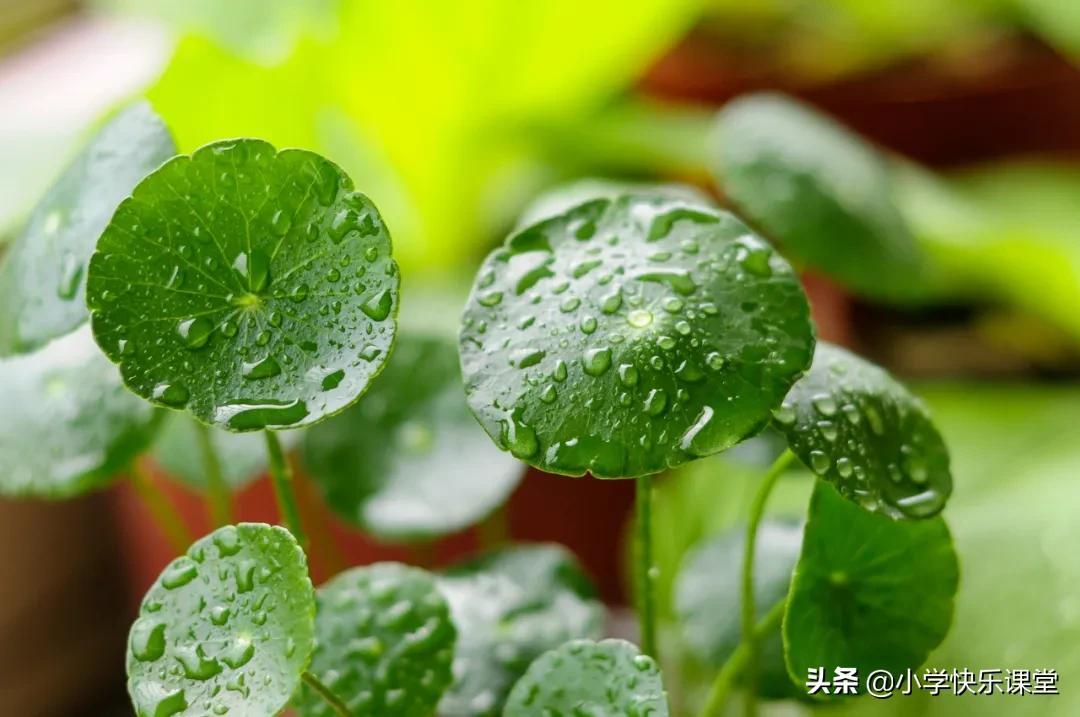 优秀日记300字大全60篇(优秀日记300字大全60篇初二)-第1张图片-微作文 优秀日记300字大全60篇(优秀日记300字大全60篇初二)-第1张图片-微作文