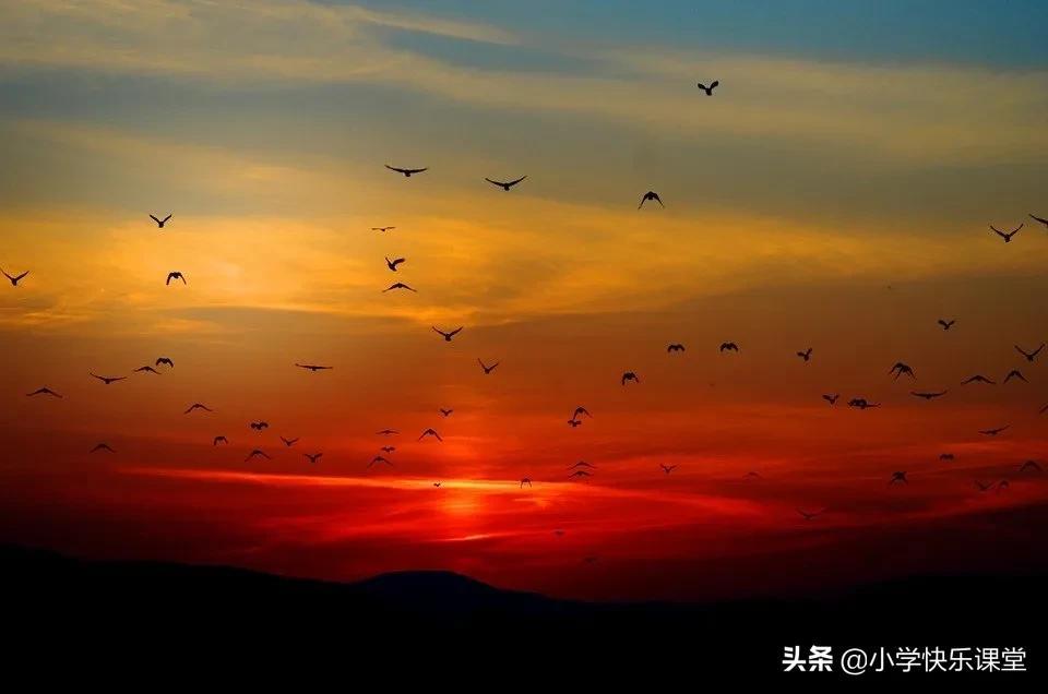 优秀的作文(优秀的作文600字初中)-第1张图片-微作文 优秀的作文(优秀的作文600字初中)-第1张图片-微作文