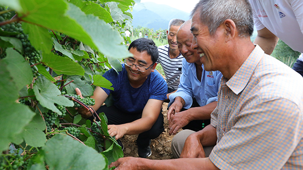 农村村情简介优秀范文(村情简介优秀范文全文)-第1张图片-微作文 农村村情简介优秀范文(村情简介优秀范文全文)-第1张图片-微作文