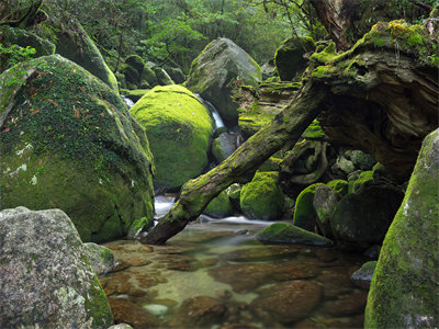 楼景苏云韶小说全文免费阅读-言情小说《楼景苏云韶》讲的是什么-第1张图片-微作文